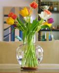 VolimoNet - Održavanje cveća u vazi