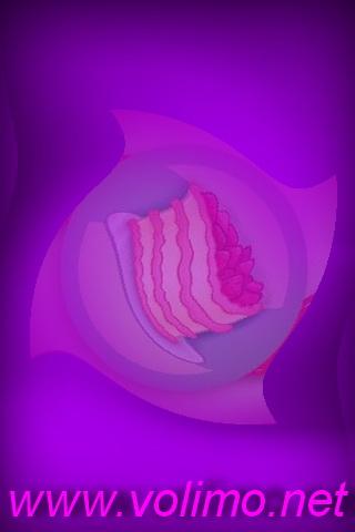 Voćna torta