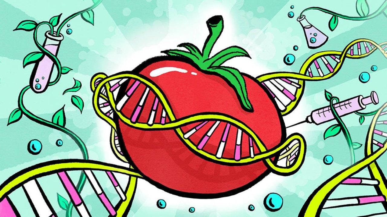 GMO, mracna buducnost